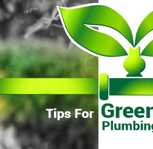 Green Plumbing Tips